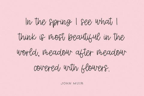 Daisychain Script Font Beck McCormick 