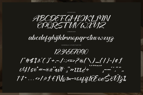 Fabiola Script Daltomy Fabiola - Modern Bold Script - So Fontsy