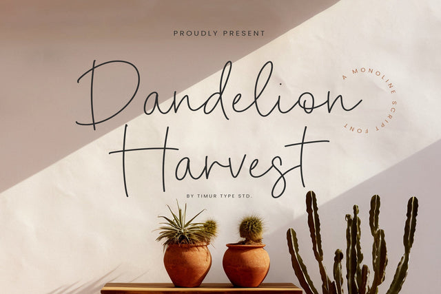 Dandelion Harvest - Monoline Script Font Font Timur type 