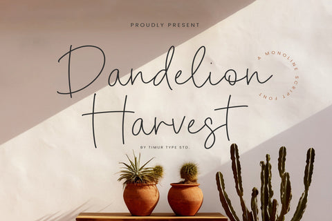 Dandelion Harvest - Monoline Script Font Font Timur type 