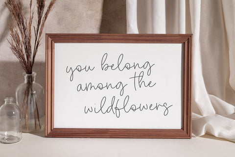 Dandelion Harvest - Monoline Script Font Font Timur type 