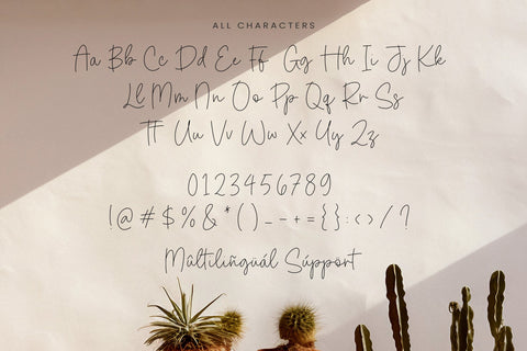 Dandelion Harvest - Monoline Script Font Font Timur type 