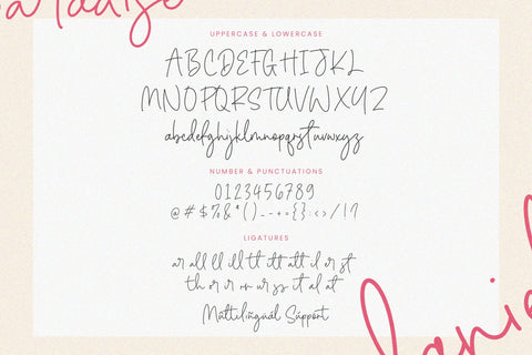 Daniela Paradise - Monoline Handwriting Font Font Timur type 