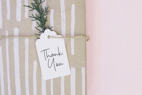 Daniela Paradise - Monoline Handwriting Font Font Timur type 