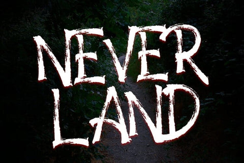 Dark Silence - Creepy Brush Font Font Dm Letter Studio 