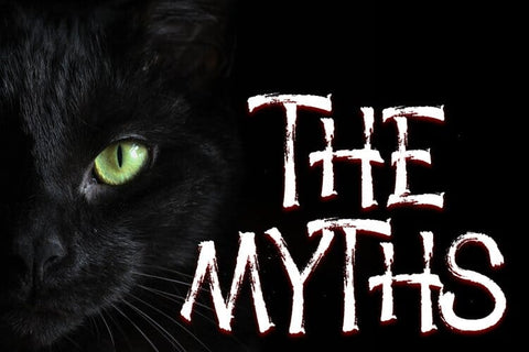 Dark Silence - Creepy Brush Font Font Dm Letter Studio 