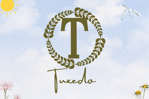 Darlowe Monogram Font Font Dm Letter Studio 