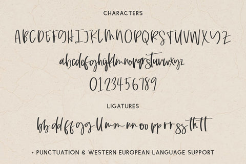 Dashwood Script Font Font Beck McCormick 