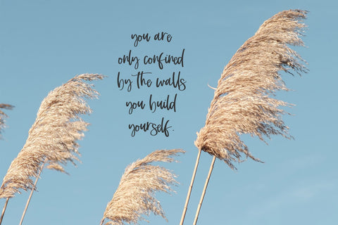 Dashwood Script Font Font Beck McCormick 