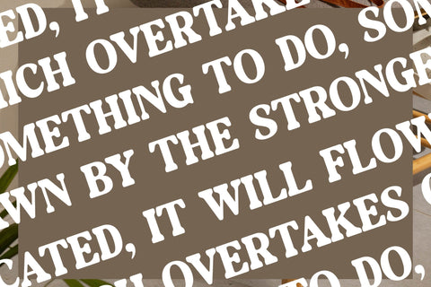 Daylist Beach - Retro Serif Font Font Letterena Studios 