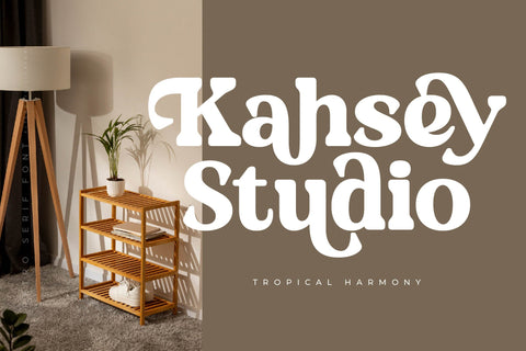 Daylist Beach - Retro Serif Font Font Letterena Studios 