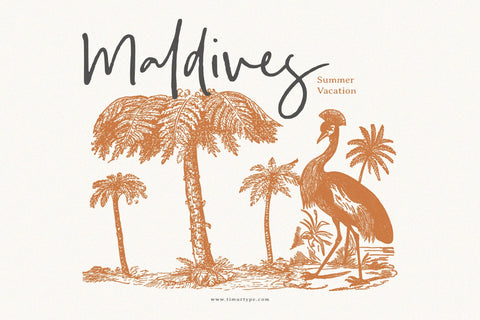 Daytona Baressi - Rough Handwritten Font Font Timur type 