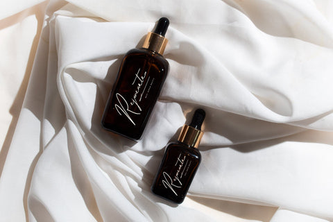 Delanisyta Gabrielle - Modern Signature Font Font Letterena Studios 