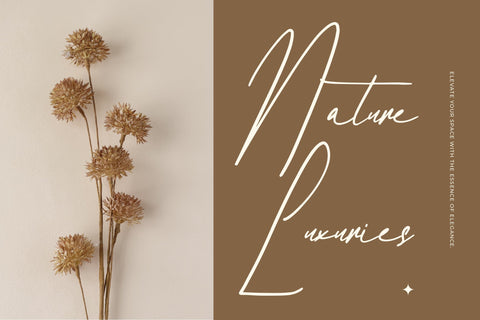 Delanisyta Gabrielle - Modern Signature Font Font Letterena Studios 