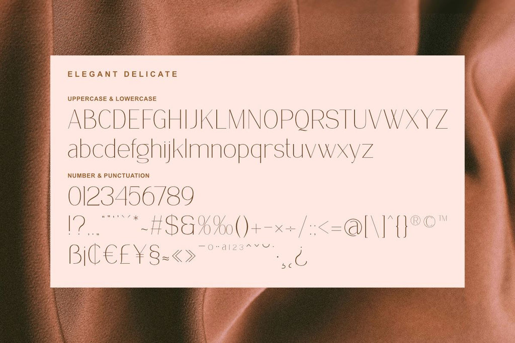 Delicate Elegance - Elegant Serif Font - So Fontsy