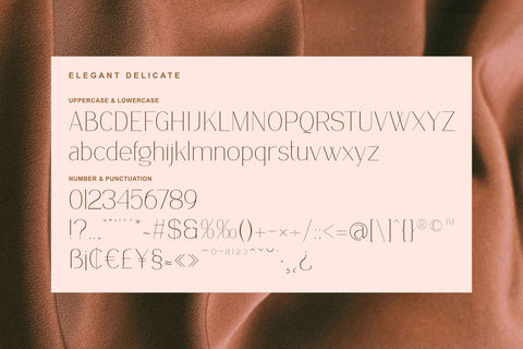 Delicate Elegance - Elegant Serif Font Font Masyafi Studio 