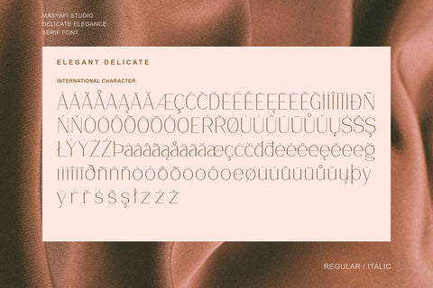 Delicate Elegance - Elegant Serif Font Font Masyafi Studio 