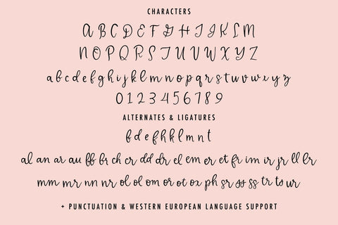 Delicate Whimsy Script Font Beck McCormick 