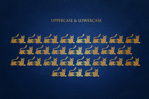 Delight Cat Mandala Monogram Font Dm Letter Studio 