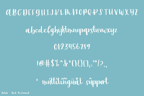 Delish Serif Script Font Font Beck McCormick 