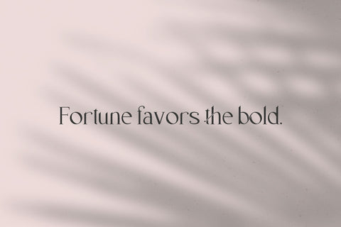 Delvey Modern Serif Font Font Beck McCormick 