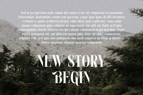 Demista - Modern Elegant Serif Font Font studioalmeera 