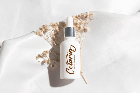 Denthyra - Modern Bold Script Font Letterena Studios 