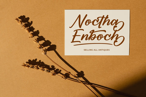 Denthyra - Modern Bold Script Font Letterena Studios 