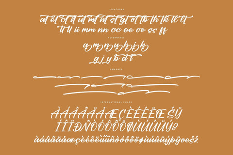 Denthyra - Modern Bold Script Font Letterena Studios 