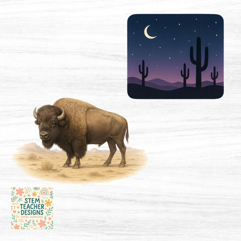 Desert and Prairie Clipart – Cowboy, Cactus, Sunset PNGs Sublimation The STEM Teacher 