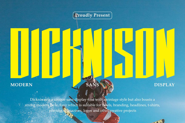 Dicknison – Modern Sans Display Font Font Masyafi Studio 