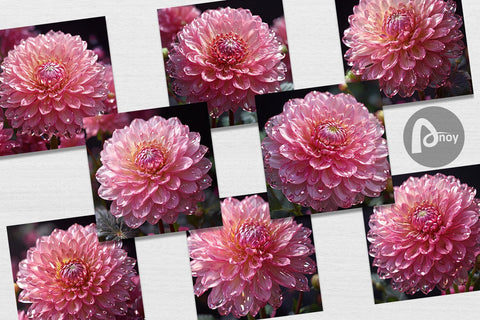 Digital Paper Flower Pink Dahlia Glitter Digital Pattern artnoy 