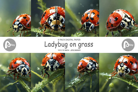 Digital Paper Ladybug on grass Digital Pattern artnoy 
