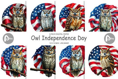 Digital Paper Owl 4th of July Digital Pattern artnoy 