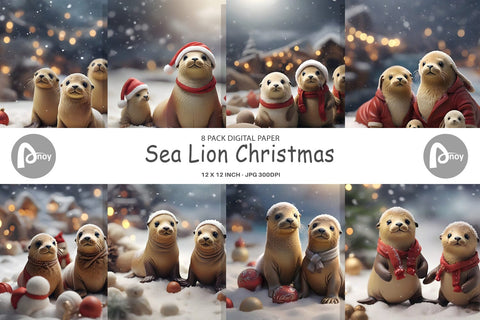 Digital Paper Sea Lion Christmas Digital Pattern artnoy 