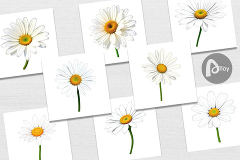 Digital Paper Spring Daisy Digital Pattern artnoy 