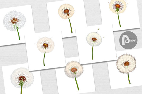 Digital Paper Spring Dandelion Digital Pattern artnoy 