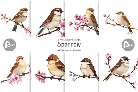 Digital Paper Spring Sparrow Digital Pattern artnoy 