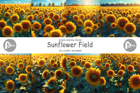 Digital Paper Sunflower Field Digital Pattern artnoy 