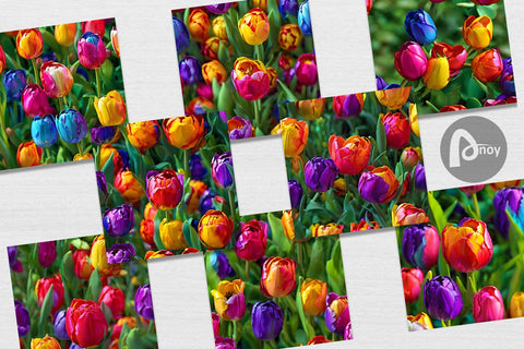 Digital Paper Tulip Flower Pattern Digital Pattern artnoy 