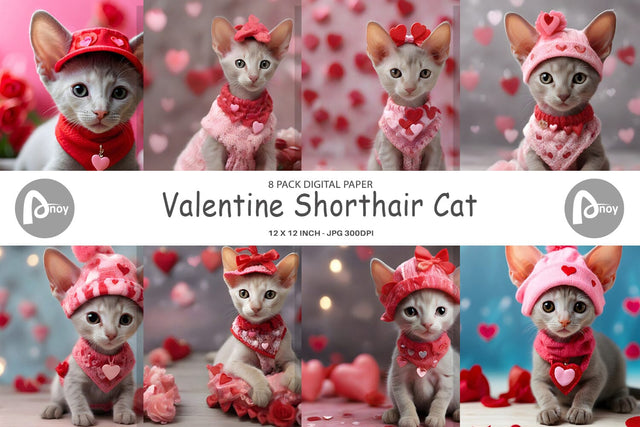 Digital Paper Valentine Shorthair Cat Digital Pattern artnoy 