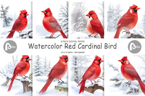 Digital Paper Watercolor Cardinal Bird Digital Pattern artnoy 