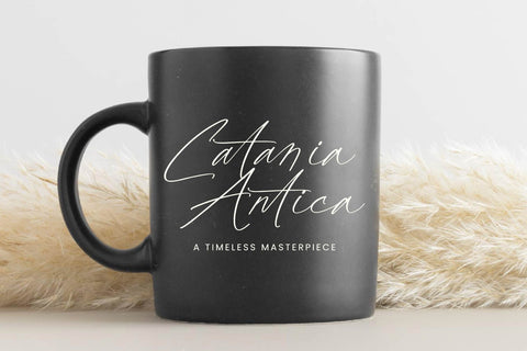 Dignity Justice - Modern Script Font Font Letterena Studios 