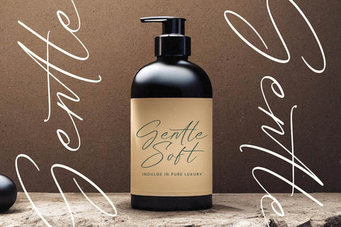 Dignity Justice - Modern Script Font Font Letterena Studios 