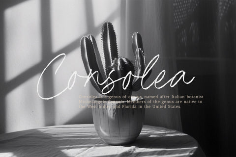 Dimitra Bothani - Rough Handwritten Script Font Font Timur type 