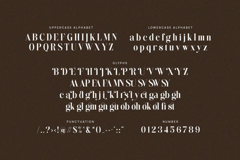 Dinglist - Elegant Serif Font Font studioalmeera 