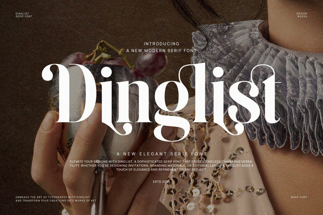 Dinglist - Elegant Serif Font Font studioalmeera 