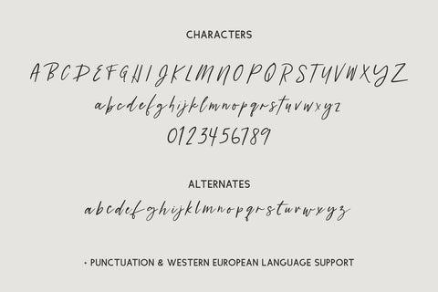 Distillery Script Font Beck McCormick 