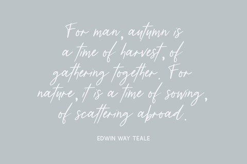 Distillery Script Font Beck McCormick 
