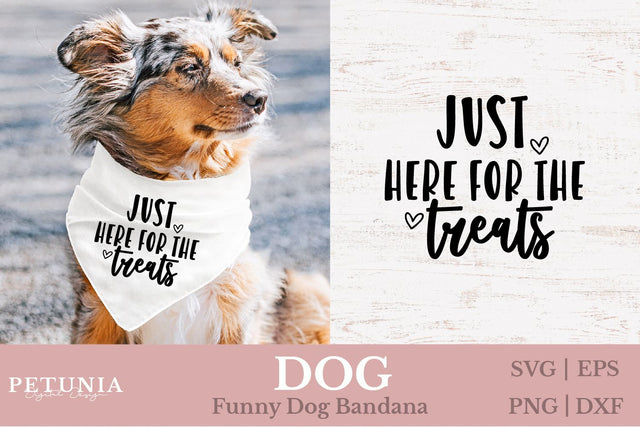 Dog Bandana SVG | Funny Dog SVG SVG Petunia Digital Design 